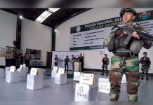Perú: Decomisan media tonelada de cocaína camuflada entre merluzas