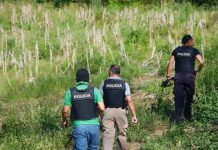 Tiroteo deja cuatro mareros muertos en El Salvador policia nacional de el salvador