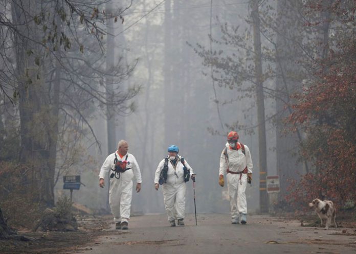 Untitled-1_SYhzkmL eeuu