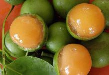 El Salvador: Bebé fallece al atragantarse con semilla de mamón mamon
