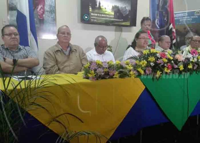 Untitled-1_T9ocKgL ambientalistas