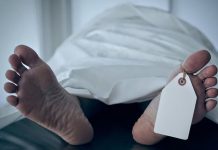 Nicaragüense muere tras ser brutalmente arrollado por bus en Costa Rica cadaver tapado