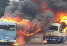 Capturan a supuestos universitarios tras quema de buses en Honduras honduras