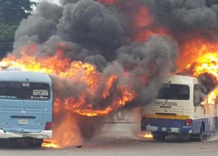 Untitled-1_TSyAr3i honduras