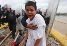nino migrante
