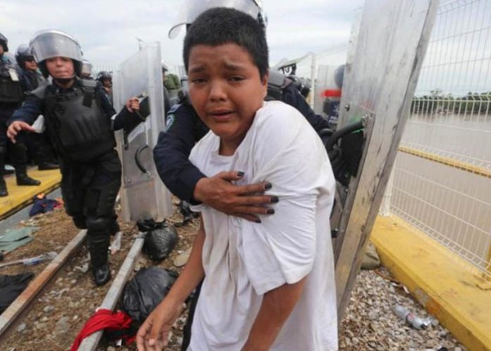 Untitled-1_TYHRTj2 nino migrante