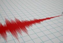 Fuerte sismo asusta a costarricenses sismografo