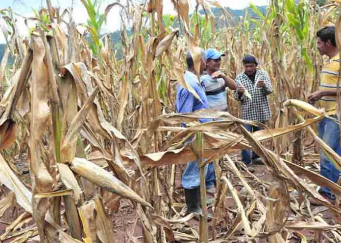 Untitled-1_VU4tKMi sequia