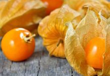 Peruanos impulsan cultivo de aguaymanto con fines de exportación fruta peruana