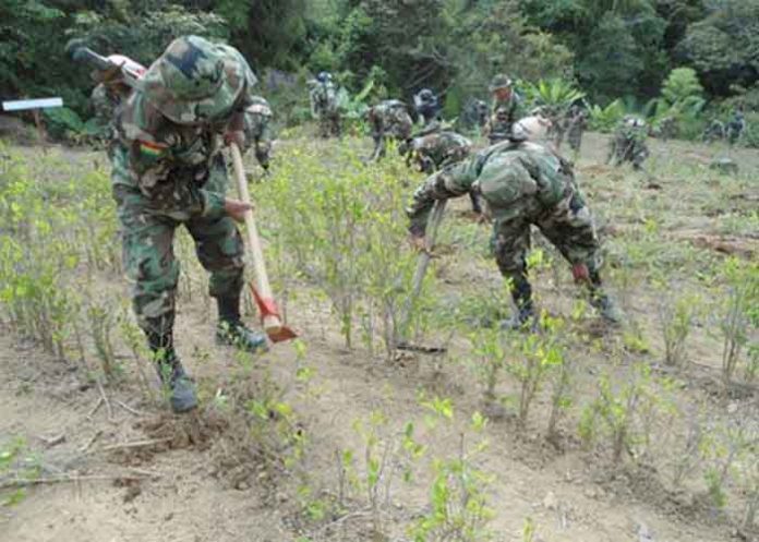 Untitled-1_WmNUMIP bolivia