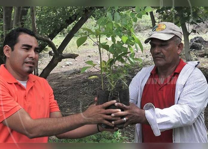 Untitled-1_WwO5Og2 nicaragua