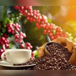 Costa Rica con ansias de aumentar exportaciones de café a Europa costa rica