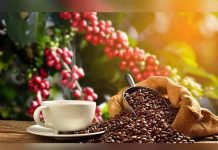 Costa Rica con ansias de aumentar exportaciones de café a Europa costa rica