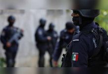 Hallan cadáveres de seis hombres en fosas clandestinas en Acapulco policia