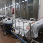 Brote de hantavirus deja nueve muertos en Argentina argentina