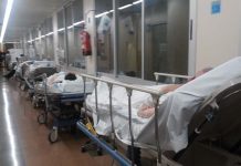 Brote de hantavirus deja nueve muertos en Argentina argentina