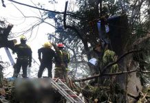 Mexicana entre los fallecidos en accidente aéreo en La Habana