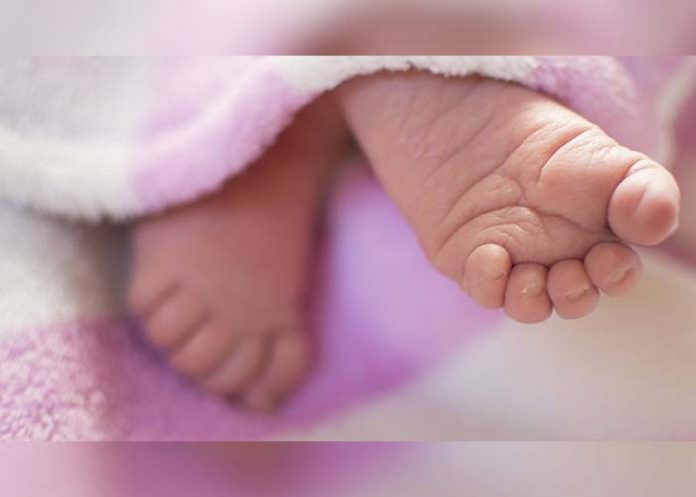 Untitled-1_btv2z0s brasil