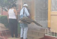 MINSA combate al mosquito y fumiga viviendas en barrio Carlos Fonseca minsa