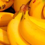 Banano hondureño incursiona en mercado ruso y de ucrania banano