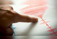 Perú: Fuerte sismo de 5.5 grados sacude Cañete y provoca alarma sismografo