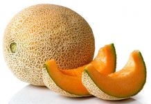 Inicia exportación de melón hondureño a México melon