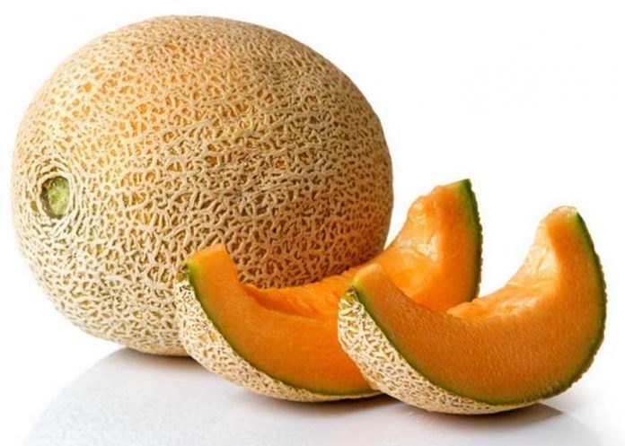 melon