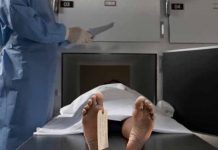 cadaver tapado