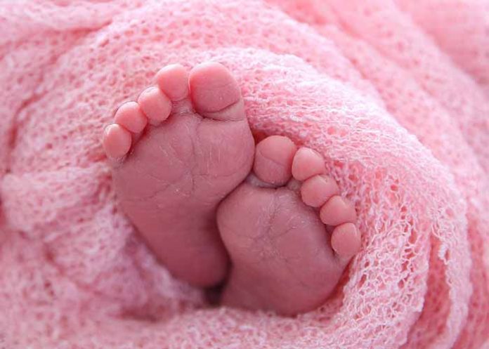 Untitled-1_foiWLKO bebe recien nacida