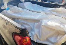 Ladrones asesinan a machetazos a dos niños y dos mujeres en Honduras crimen en honduras
