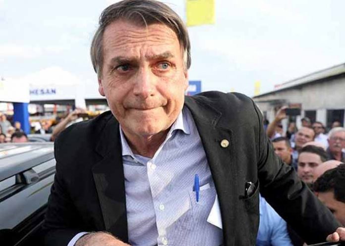 Untitled-1_gacNUTO brasil