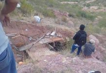 Camión vuelca a un abismo y deja cinco muertos en el sur de Perú accidente