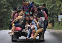 migrantes