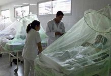 Paraguay mantiene activo el brote de Chikungunya