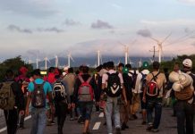 México: Migrante hondureño muere arrollado por «La Bestia» migrante