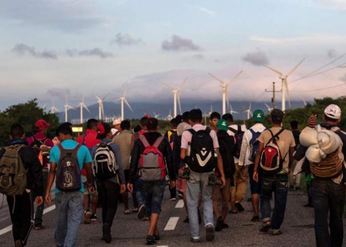 Untitled-1_iTNjD77 migrante