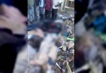 Hallan diez cadáveres en basurero en zona central de Haití cadaveres