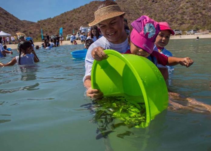 Untitled-1_jpFEjy9 mexico