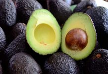 Taiwán fortalece producción de aguacate en Honduras aguacates