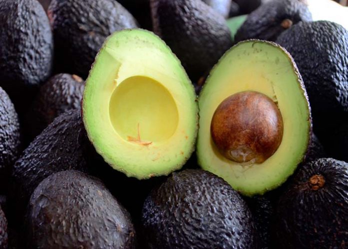 aguacates