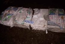 Sorprenden a narcos con «las manos en las drogas» en Costa Rica narcotrafico