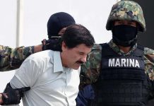 Muertes o capturas de capos causó «narcoinsurgencia» en México capo