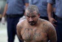 El Salvador: Ordenan masiva detención a criminales de la Mara Salvatrucha 13 pandillero