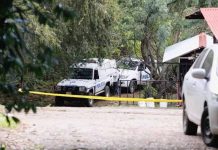 Endemoniado hace «picadillo» a mujer nica y causa terror en Costa Rica costa rica