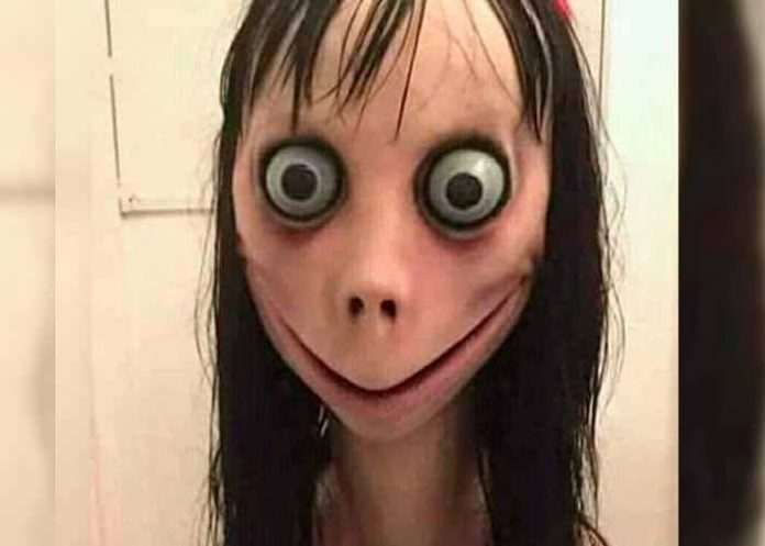 Untitled-1_oV1pfKX momo