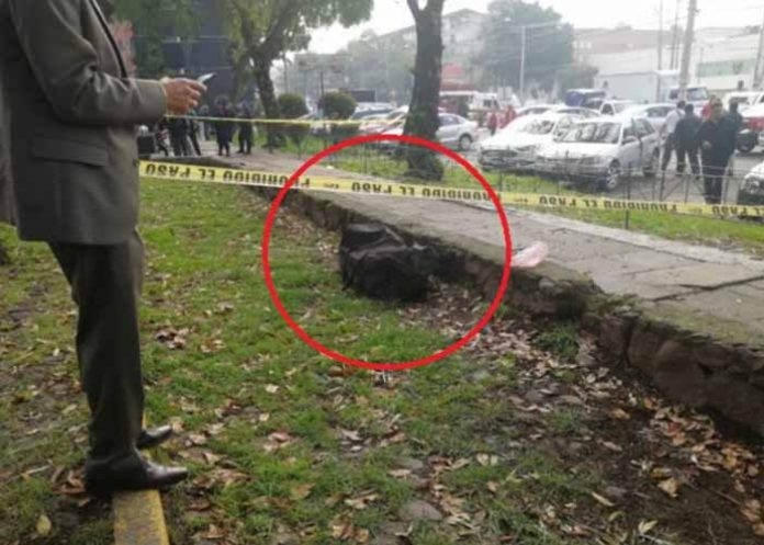 Untitled-1_piSnsPd cadaver