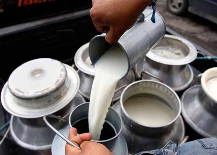 Untitled-1_pjLER3r productores de leche