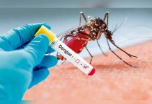 Autoridades sanitarias de Chiapas en alerta por dengue hemorrágico alerta