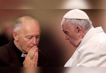 Papa Francisco ordena ampliar investigación sobre abusos sexuales de excardenal papa francisco