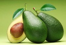 Productores de Colombia exportarán 19 toneladas de aguacate a EEUU aguacata hass